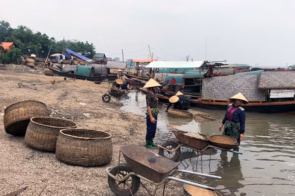 ngot ngao vi hen truong son