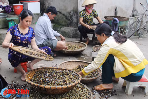 ngot ngao vi hen truong son