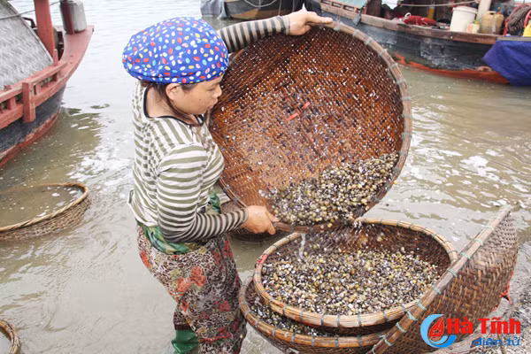 ngot ngao vi hen truong son