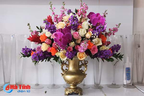 can man nghe cam hoa