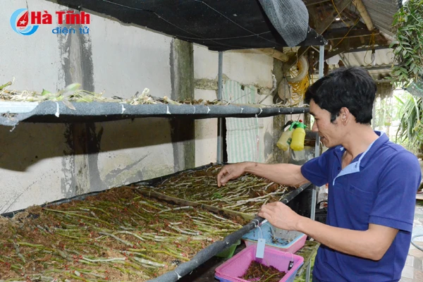 lac giua vuon lan rung tien ty cua chang cu nhan 8x