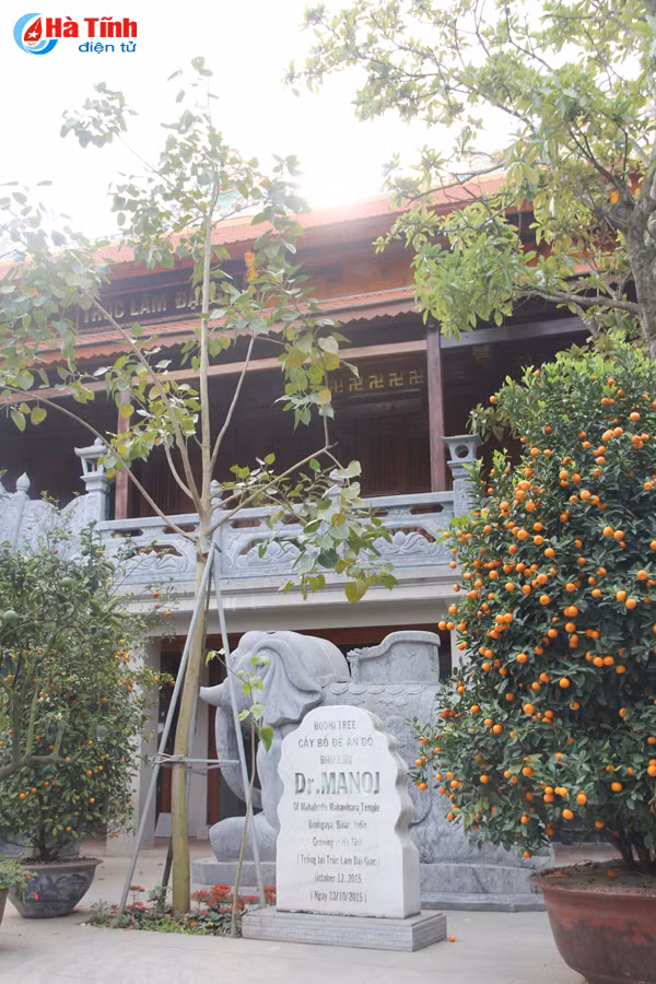 Choáng ngợp những pho tượng dát vàng tại điện Trần ở Hà Tĩnh