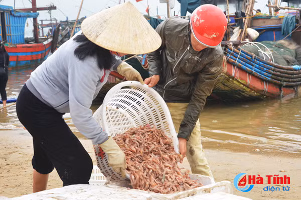 photo niem vui lang bien ha tinh