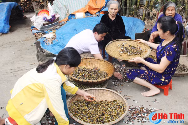 ngot ngao vi hen truong son