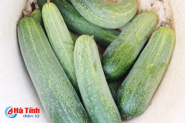 nghich ly gia rau nong dan ban 1 nguoi tieu dung mua 3