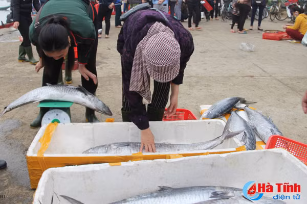 ngu dan vui don loc bien