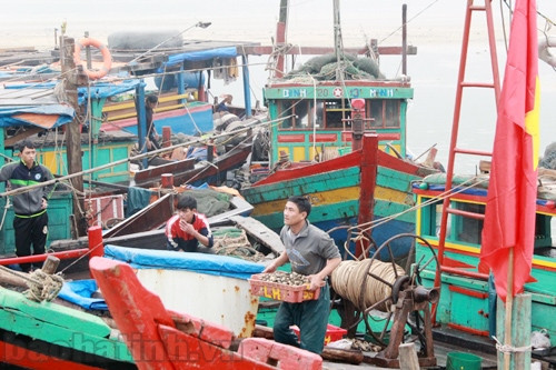 Ngư dân phấn khởi với những chuyến biển cuối năm ảnh 1