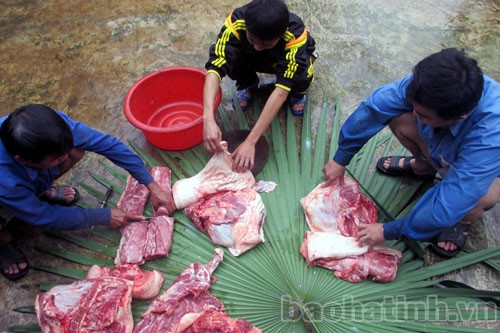 ... thịt con lợn béo rồi chia phần