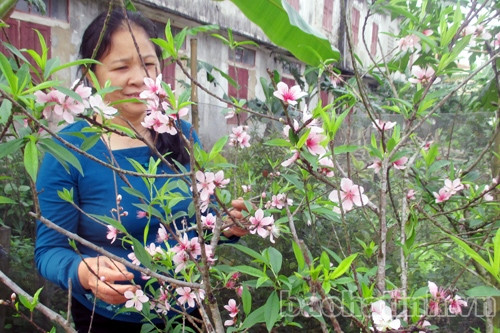 Đặc sản Thượng Lộc "hối hả" ra chợ Tết ảnh 3