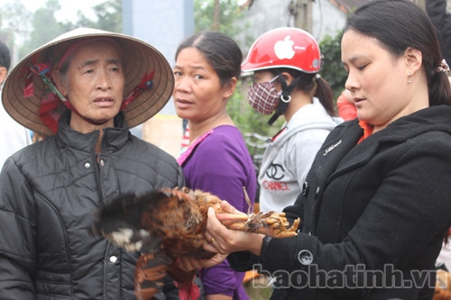Ôm chú gà trống trên tay, cậu bé hớn hở vì được phụ giúp mẹ đi chợ Tết