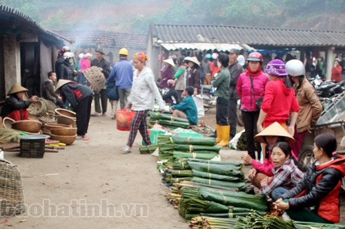 Lá dong, ống giang phục vụ gói bánh chưng