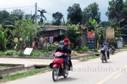 Du xuân với... "đầu trần"! ảnh 3