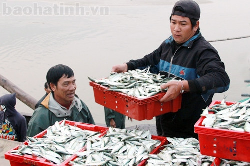 ... nhờ "trúng" cá...