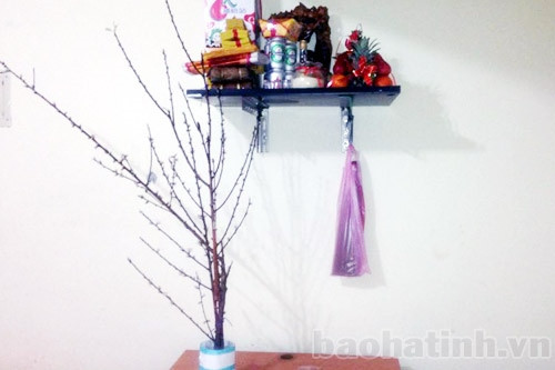 Mâm cỗ đơn giản với cành đào nhỏ là tinh thần Tết Việt những lao động ở Đài Loan.