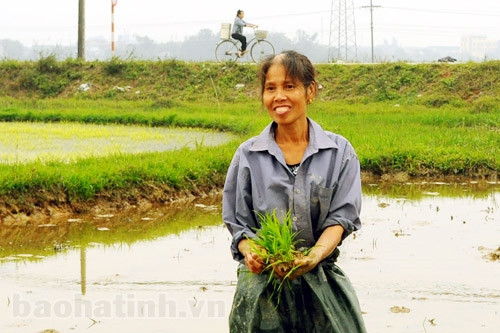 Mong ước đầu xuân ảnh 3