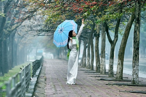 Mùng 1 và 2 Tết, miền Bắc mưa nhỏ vài nơi, rét nhẹ về đêm và sáng ảnh 1