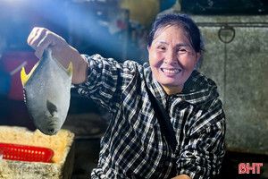 Biển cho cá, cho cả cái tình