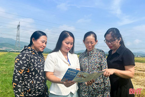 Những người "dệt lưới" an sinh