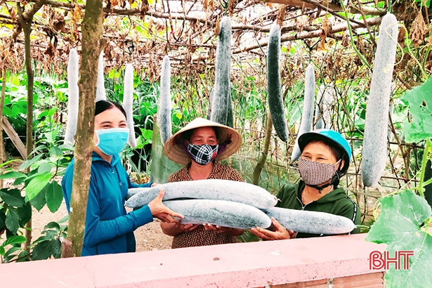 Hà Tĩnh quyết liệt “chiến đấu” với virus SARS-CoV-2 siêu lây nhiễm ảnh 22 Hà Tĩnh quyết liệt “chiến đấu” với virus SARS-CoV-2 siêu lây nhiễm