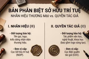Doanh nghiệp có thể đăng ký bản quyền logo công ty ở đâu?