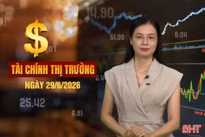  Tài chính thị trường ngày 29/6: Rơm rạ, CO₂ trở thành nguồn thu mới