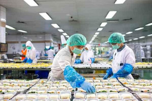 Xuất khẩu lao động làm những công việc gì?