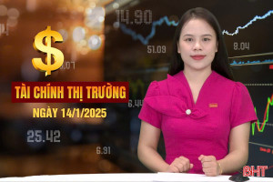 Tài chính thị trường ngày 14/1: Mỗi phút, người Việt sắm 1 ôtô, 5 xe máy mới