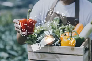 Nhà Bè Agri: Nền tảng số chuyên cập nhật các dữ liệu thị trường nông sản