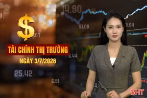  Tài chính thị trường ngày 3/7: Giá xăng giảm sâu, vì sao giá hàng hoá vẫn chưa giảm?