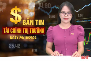 Tài chính thị trường ngày 29/10: Xi măng đồng loạt tăng giá 