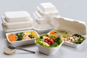 Bao bì Asia: Tiên phong lan tỏa lối sống xanh với các sản phẩm từ bã mía