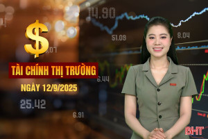 Tài chính thị trường ngày 12/9: EVN đề xuất xử phạt lắp đặt điện mặt trời mái nhà không đăng ký