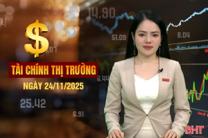 Tài chính thị trường ngày 24/11: VinFast Hà Tĩnh xuất xưởng 8.580 xe điện sau 3 tháng vận hành