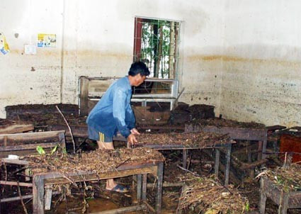 Khi mước rút, trong các phòng học chứa đầy rác