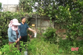 Vì sao nhiều người dân không còn mặn mà làm vườn mẫu?
