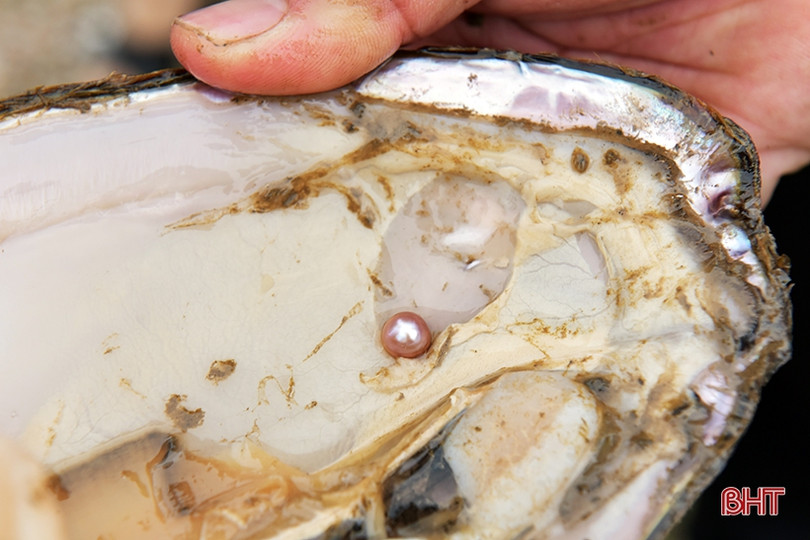 Phó Chủ tịch Trung ương Hội Nông dân Việt Nam: Nông nghiệp Hà Tĩnh đang đi đúng hướng