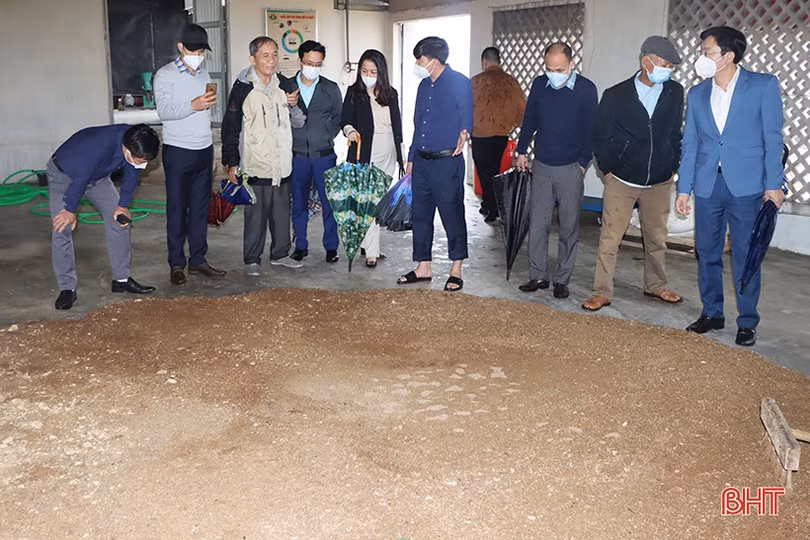 Cẩm Xuyên học tập mô hình sản xuất nông nghiệp hữu cơ của Tập đoàn Quế Lâm