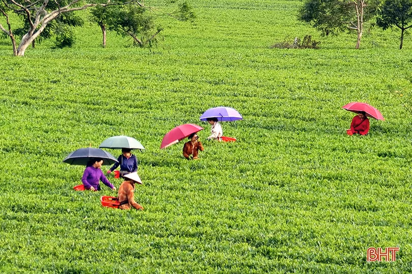 Tươi mới bức tranh du lịch sinh thái trên miền núi thơm Hà Tĩnh