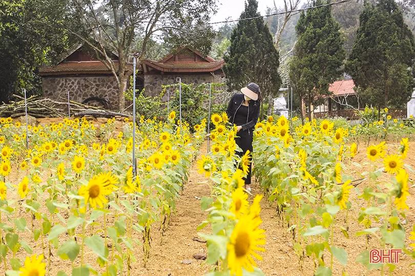 Các cơ sở kinh doanh du lịch ở Hà Tĩnh “rót vốn” đầu tư, đón khách trở lại
