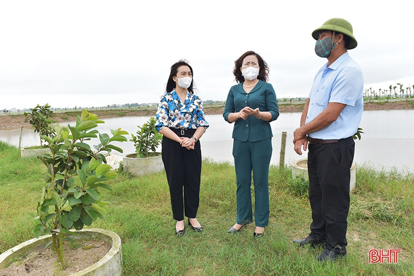 Phó Chủ tịch Trung ương Hội Nông dân Việt Nam: Nông nghiệp Hà Tĩnh đang đi đúng hướng