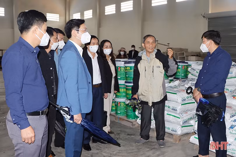 Cẩm Xuyên học tập mô hình sản xuất nông nghiệp hữu cơ của Tập đoàn Quế Lâm