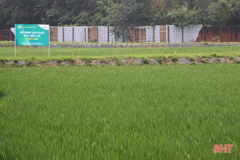 Cẩm Xuyên học tập mô hình sản xuất nông nghiệp hữu cơ của Tập đoàn Quế Lâm