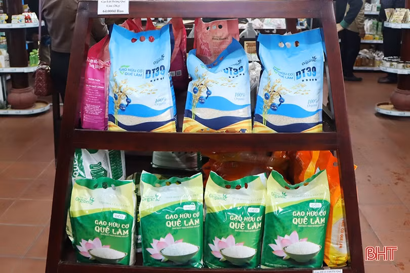 Cẩm Xuyên học tập mô hình sản xuất nông nghiệp hữu cơ của Tập đoàn Quế Lâm