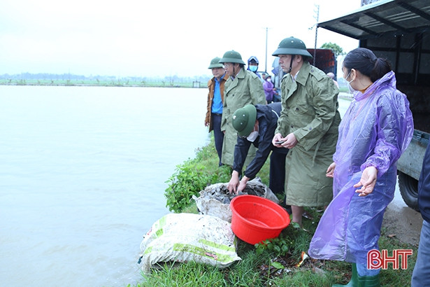 TP Hà Tĩnh thả 1,5 tấn trai và cá xuống các hồ, đập để tạo nguồn lợi thủy sản