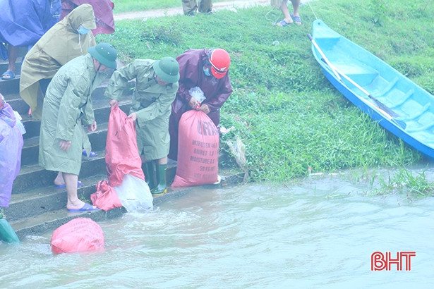 TP Hà Tĩnh thả 1,5 tấn trai và cá xuống các hồ, đập để tạo nguồn lợi thủy sản