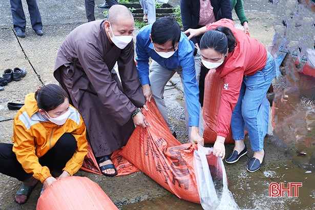 Thả hơn 40.000 con cá giống tái tạo nguồn lợi thủy sản ở Kỳ Anh