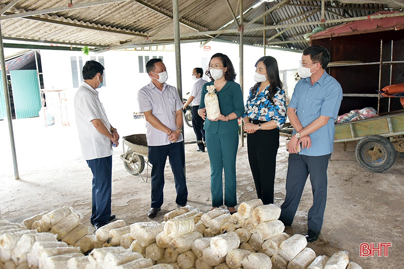 Phó Chủ tịch Trung ương Hội Nông dân Việt Nam: Nông nghiệp Hà Tĩnh đang đi đúng hướng