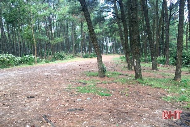 Thu gom rác thải ở hồ Thiên Tượng sau phản ánh của Báo Hà Tĩnh