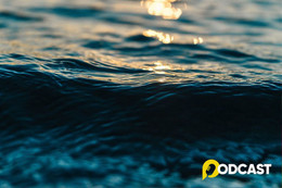 Podcast Bút ký "Người hóa thành sóng"