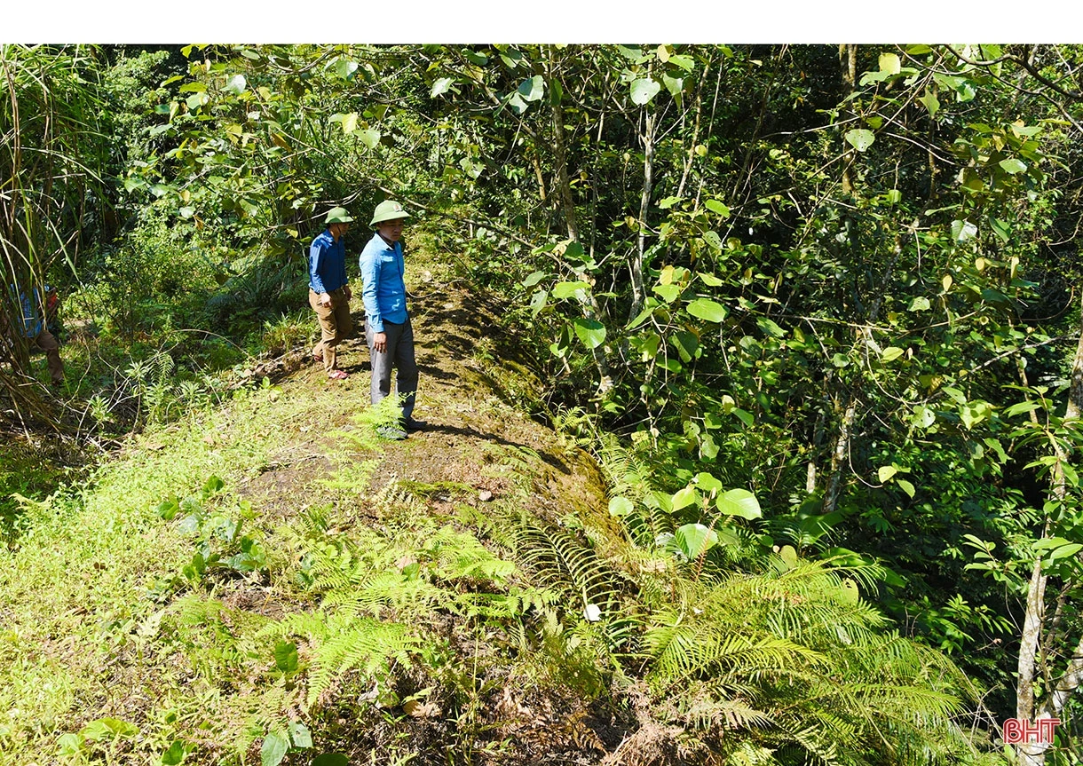 Trong nắng mới Ngàn Trươi